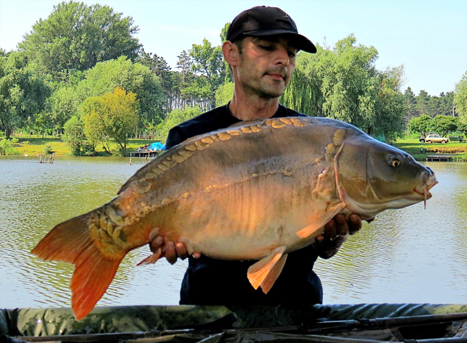 Palici - img5757-1398-kg-ok.JPG